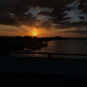 Meet your Posher, Skylar